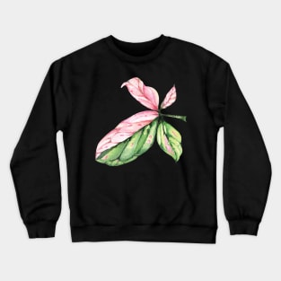 Syngonium Pink Splash Leaf Crewneck Sweatshirt